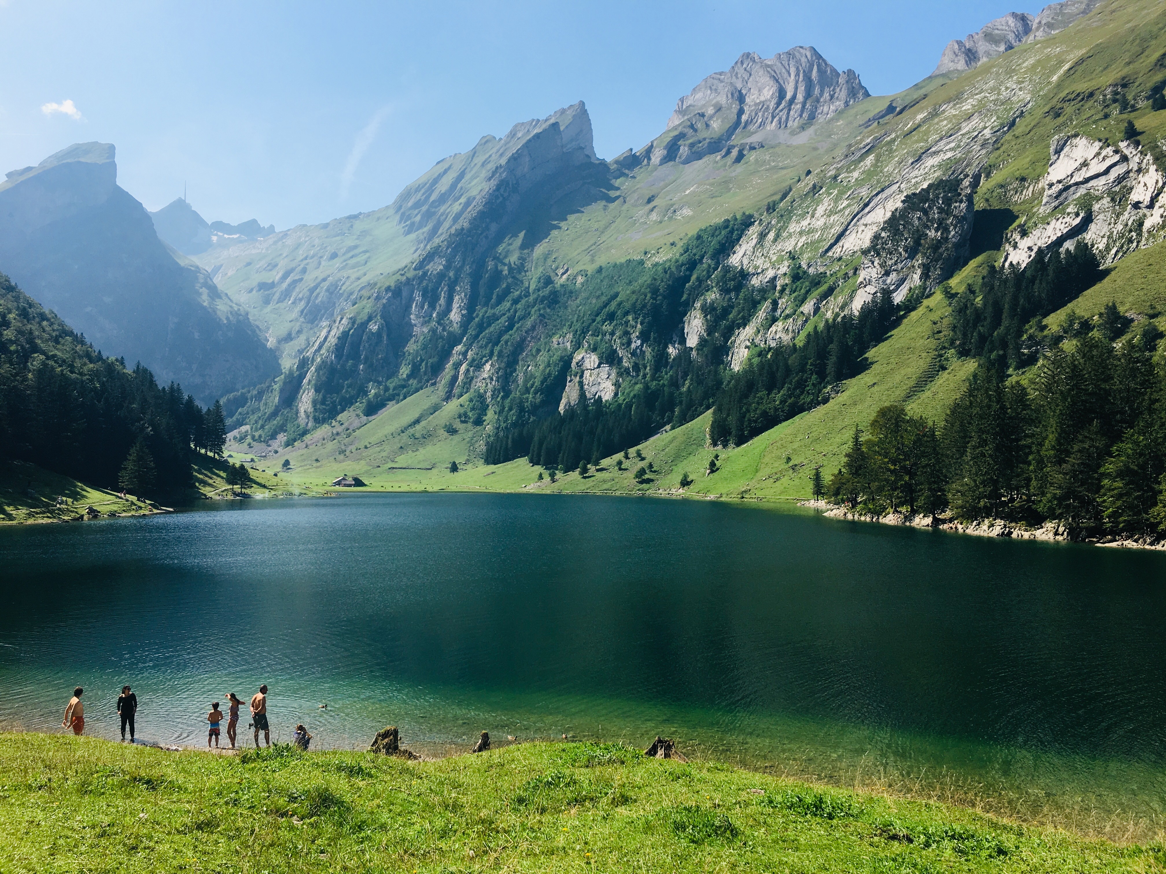 Swiss Alps panorama